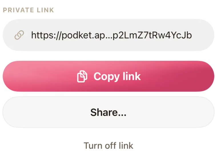 The private link sheet with Copy link
